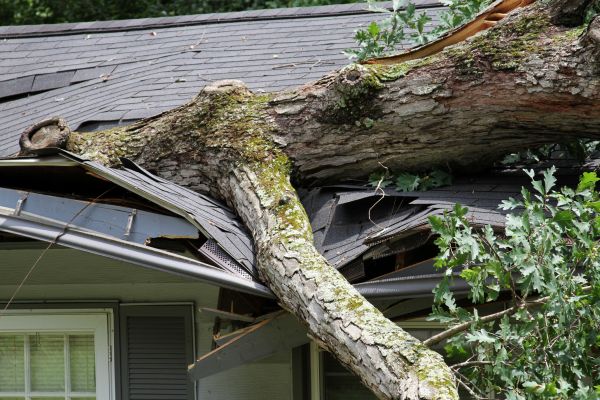 Storm Remediation in Louisville