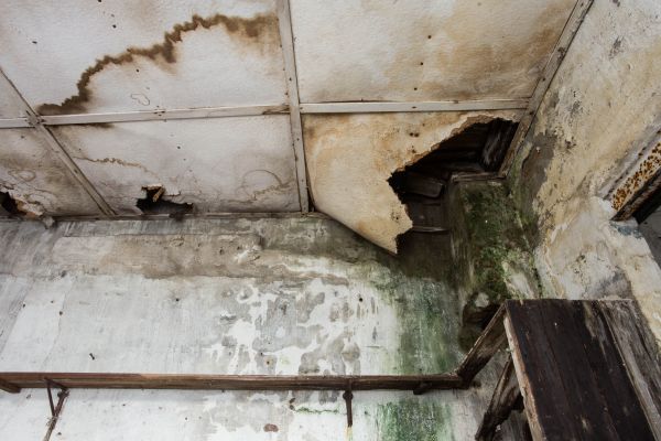 Water Damage Service in Louisville