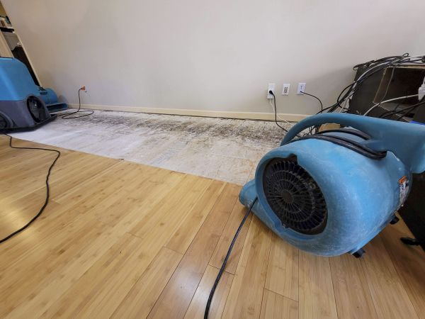 Water Damage Mitigation in Louisville