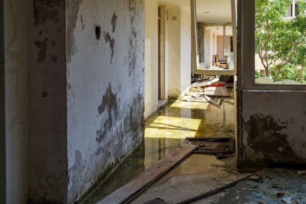 Cost of Water Removal Service in Louisville