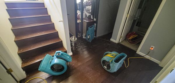 Water Damage Remediation in Louisville