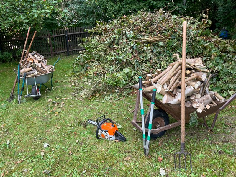 Cleanup and Debris Removal Services